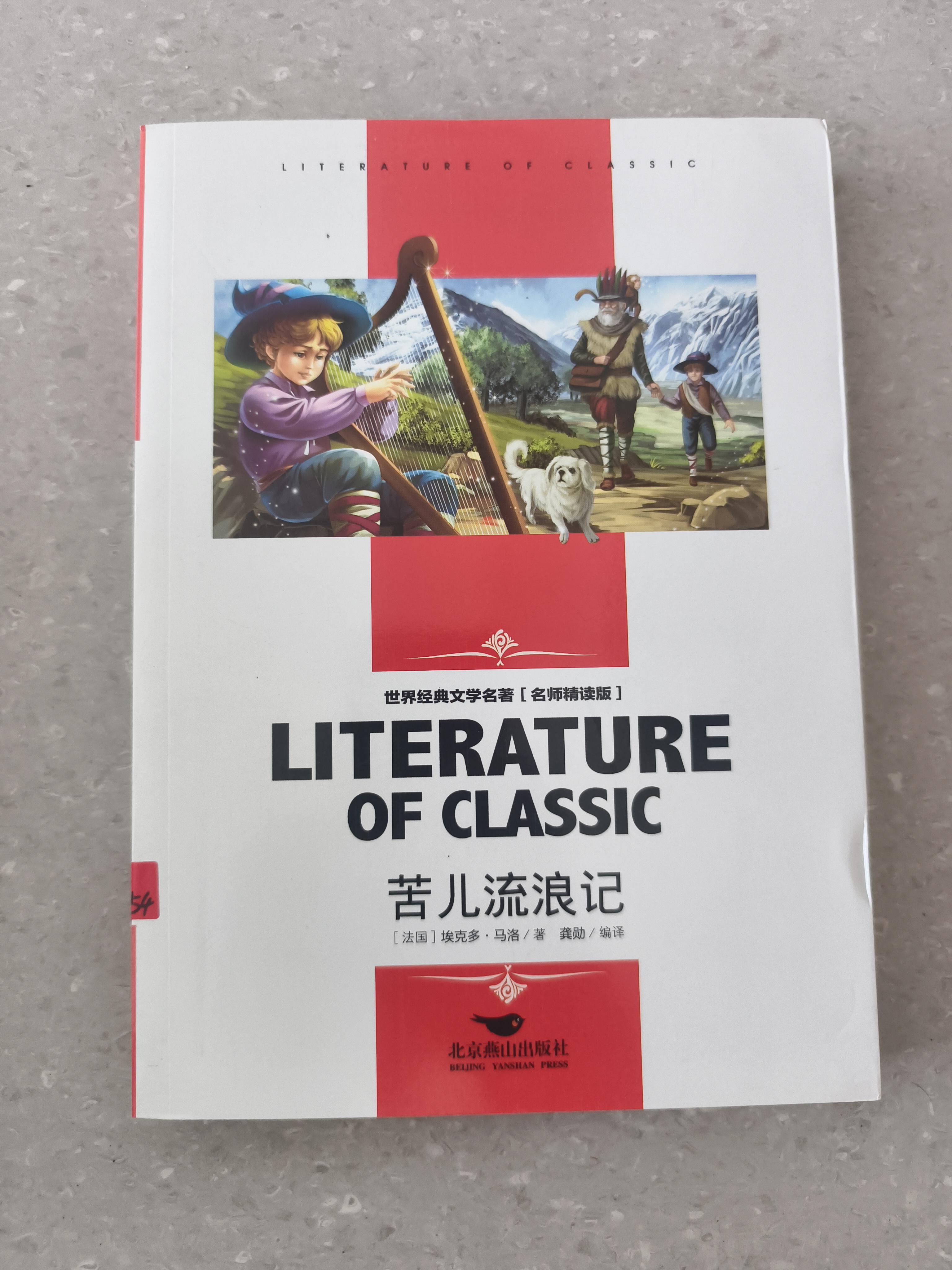 （双色）学生新课标必读·名师精读版-苦儿流浪记