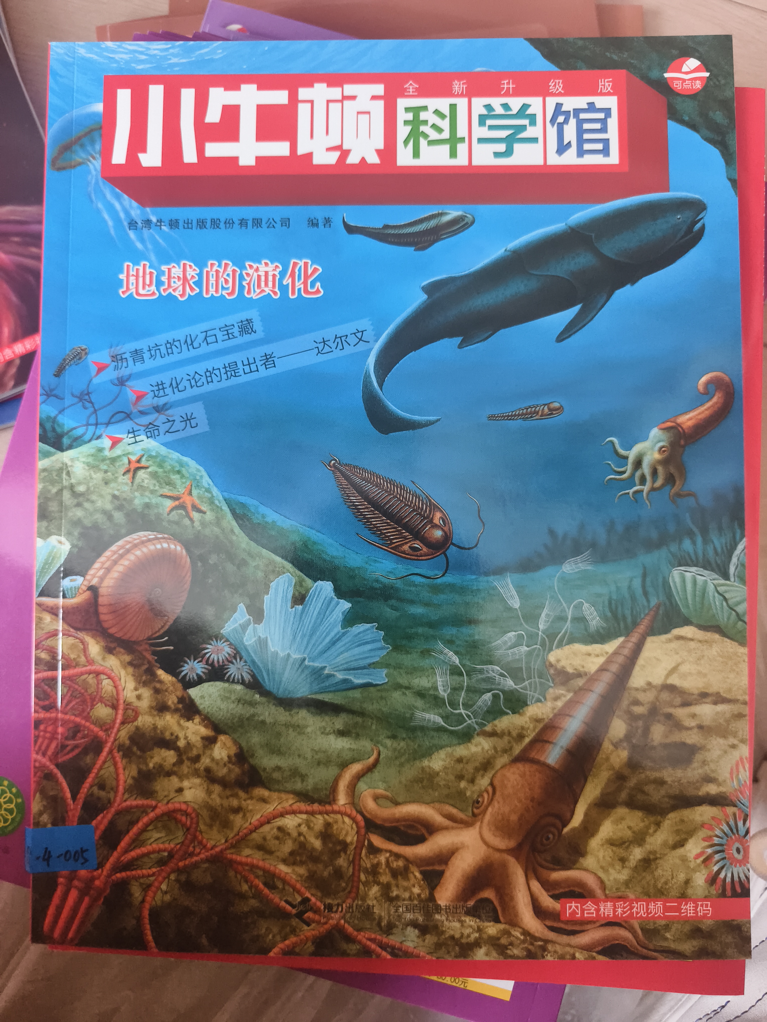 地球的演化